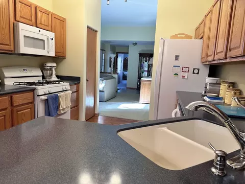 21356 W Sycamore Dr, Plainfield, IL 60544 photo 5