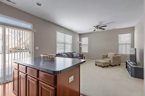 410 Blackstone Ave, Elgin, IL 60124 photo 14