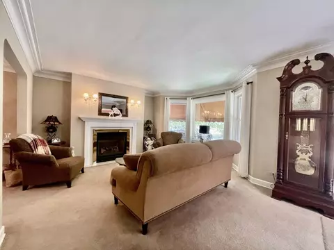 10335 S Artesian Ave, Chicago, IL 60655 photo 4