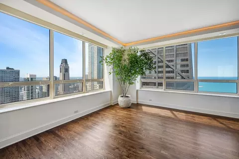 180 E Pearson St #3901, Chicago, IL 60611 photo 5