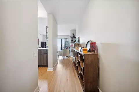 41 E 8th St #1506, Chicago, IL 60605 photo 19