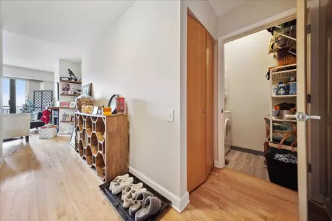 41 E 8th St #1506, Chicago, IL 60605 photo 21