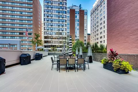 200 E Delaware Pl #29B, Chicago, IL 60611 photo 26