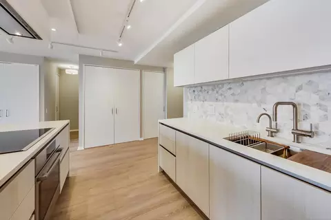 200 E Delaware Pl #29B, Chicago, IL 60611 photo 11