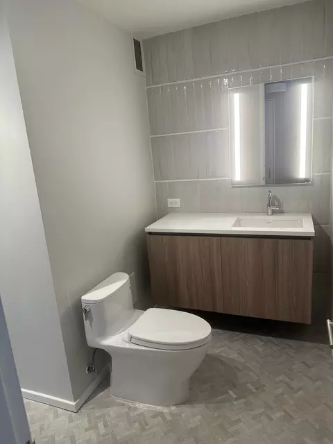 200 E Delaware Pl #29B, Chicago, IL 60611 photo 17