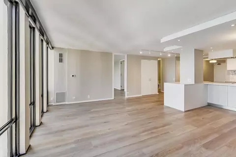 200 E Delaware Pl #29B, Chicago, IL 60611 photo 9