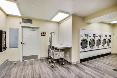 200 E Delaware Pl #29B, Chicago, IL 60611 photo 40