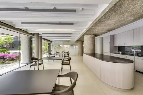 200 E Delaware Pl #29B, Chicago, IL 60611 photo 37