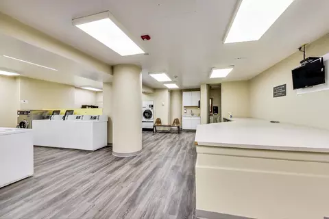 200 E Delaware Pl #29B, Chicago, IL 60611 photo 38