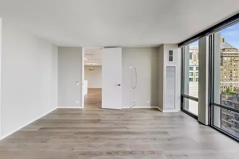 200 E Delaware Pl #29B, Chicago, IL 60611 photo 15