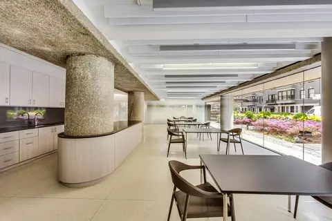 200 E Delaware Pl #29B, Chicago, IL 60611 photo 36