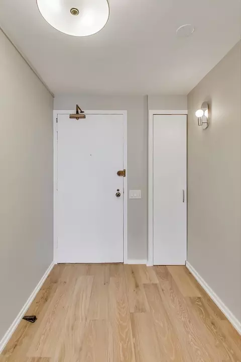 200 E Delaware Pl #29B, Chicago, IL 60611 photo 3