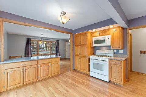 303 W Richton Rd, Steger, IL 60475 photo 24