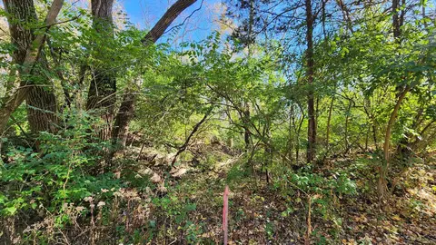 4785 Shady Ln, Morris, IL 60450 photo 9