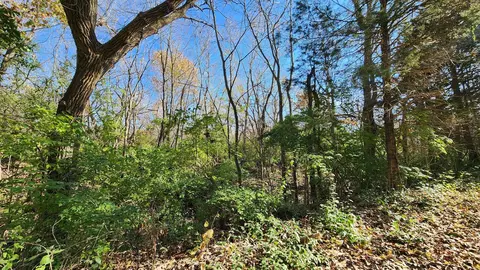 4785 Shady Ln, Morris, IL 60450 photo 7