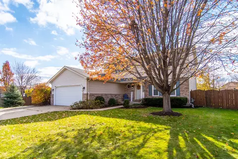 2703 Billie Limacher Ln, Plainfield, IL 60586
