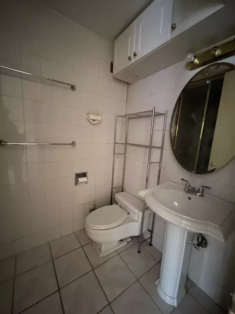Bath - 601 E 32nd St #809, Chicago, IL 60616 photo 1 of 1