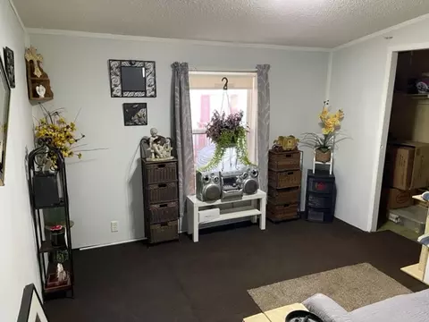 34 Maple St, Minooka, IL 60447 photo 8