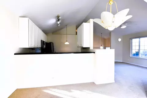 9415 Harrison St, Des Plaines, IL 60016 photo 9