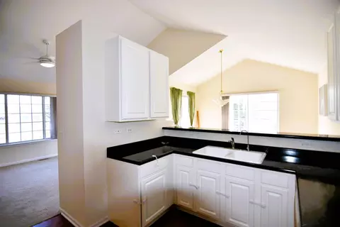 9415 Harrison St, Des Plaines, IL 60016 photo 6