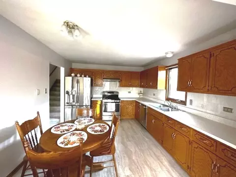 10819 S Avenue E, Chicago, IL 60617 photo 5