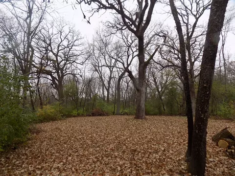 lot19 Fair Ln, Huntley, IL 60142