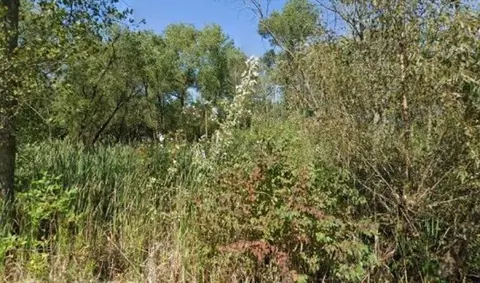 35724 Adelphi Ave, Waukegan, IL 60085