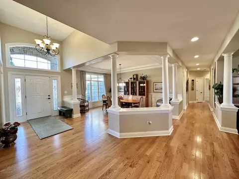 12509 Teluride Ln, Mokena, IL 60448 photo 14