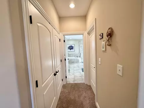 12509 Teluride Ln, Mokena, IL 60448 photo 20