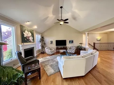 12509 Teluride Ln, Mokena, IL 60448 photo 9