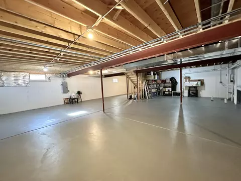 12509 Teluride Ln, Mokena, IL 60448 photo 30