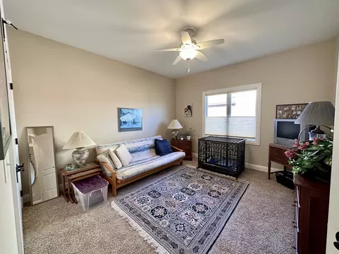12509 Teluride Ln, Mokena, IL 60448 photo 26
