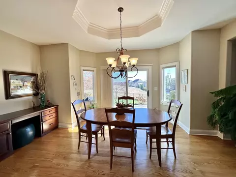 12509 Teluride Ln, Mokena, IL 60448 photo 6