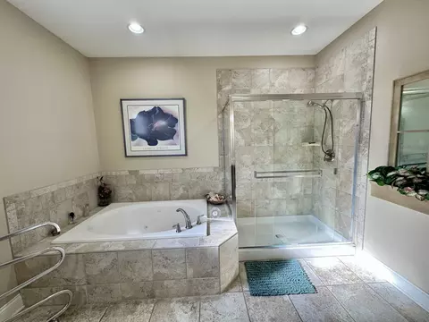 12509 Teluride Ln, Mokena, IL 60448 photo 23