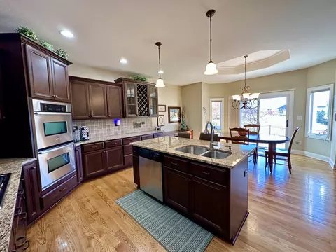 12509 Teluride Ln, Mokena, IL 60448 photo 3