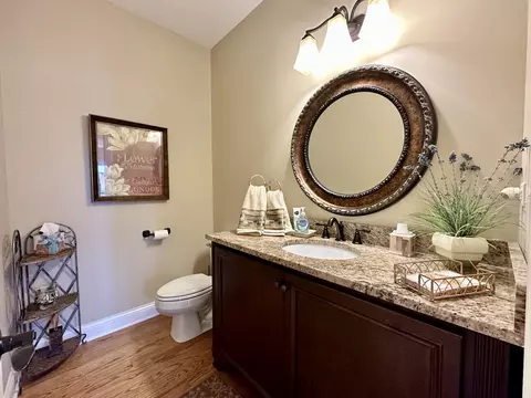 12509 Teluride Ln, Mokena, IL 60448 photo 18
