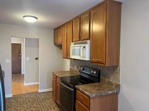 711 S River Rd #511, Des Plaines, IL 60016 photo 13