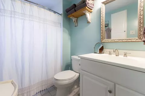 12 E Division St, Lemont, IL 60439 photo 10