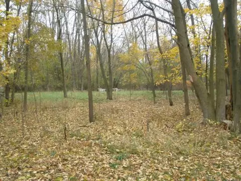 37817 N Lake Vista Ter, Spring Grove, IL 60081