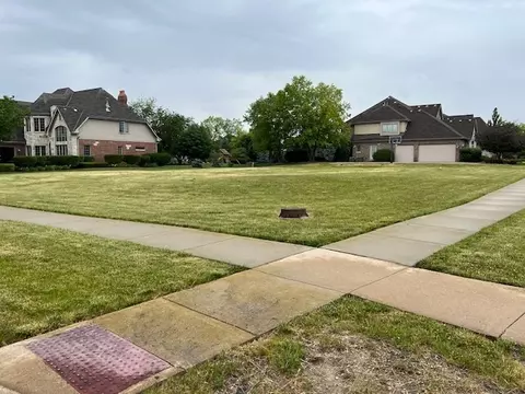 22592 Cobblestone Trl, Frankfort, IL 60423