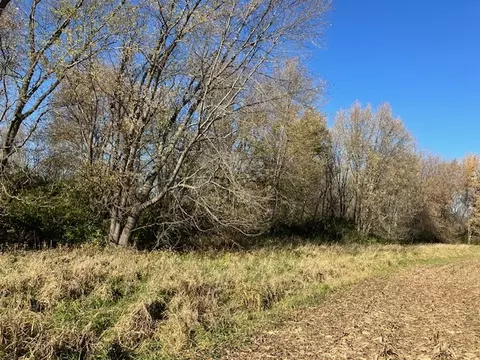 0 County 54 Hwy, Cedar Point, IL 61316 photo 3