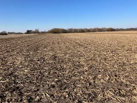 0 County 54 Hwy, Cedar Point, IL 61316 photo 4