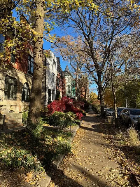 1316 E Madison Park Ave, Chicago, IL 60615 photo 25