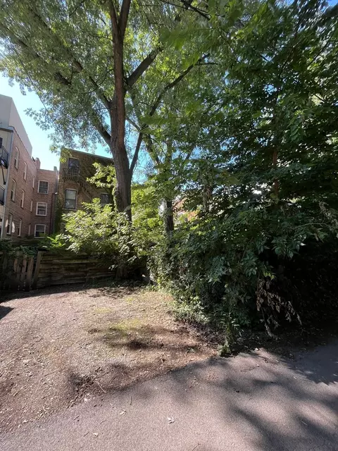 1316 E Madison Park Ave, Chicago, IL 60615 photo 24