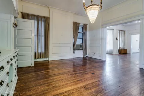 1316 E Madison Park Ave, Chicago, IL 60615 photo 8