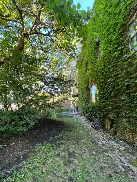 1316 E Madison Park Ave, Chicago, IL 60615 photo 22