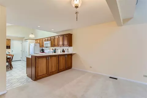 254 Spring Cove Dr, Elgin, IL 60123 photo 9