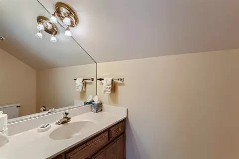 254 Spring Cove Dr, Elgin, IL 60123 photo 20