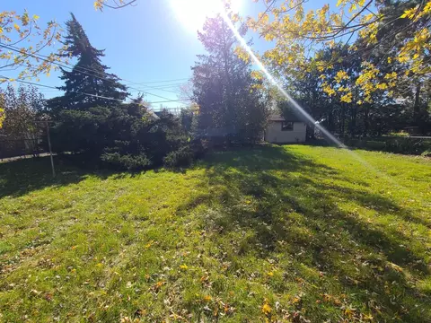 7901 45th Pl, Lyons, IL 60534 photo 3
