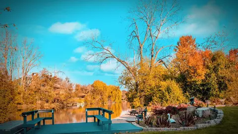 9666 Reding Cir, Des Plaines, IL 60016 photo 11